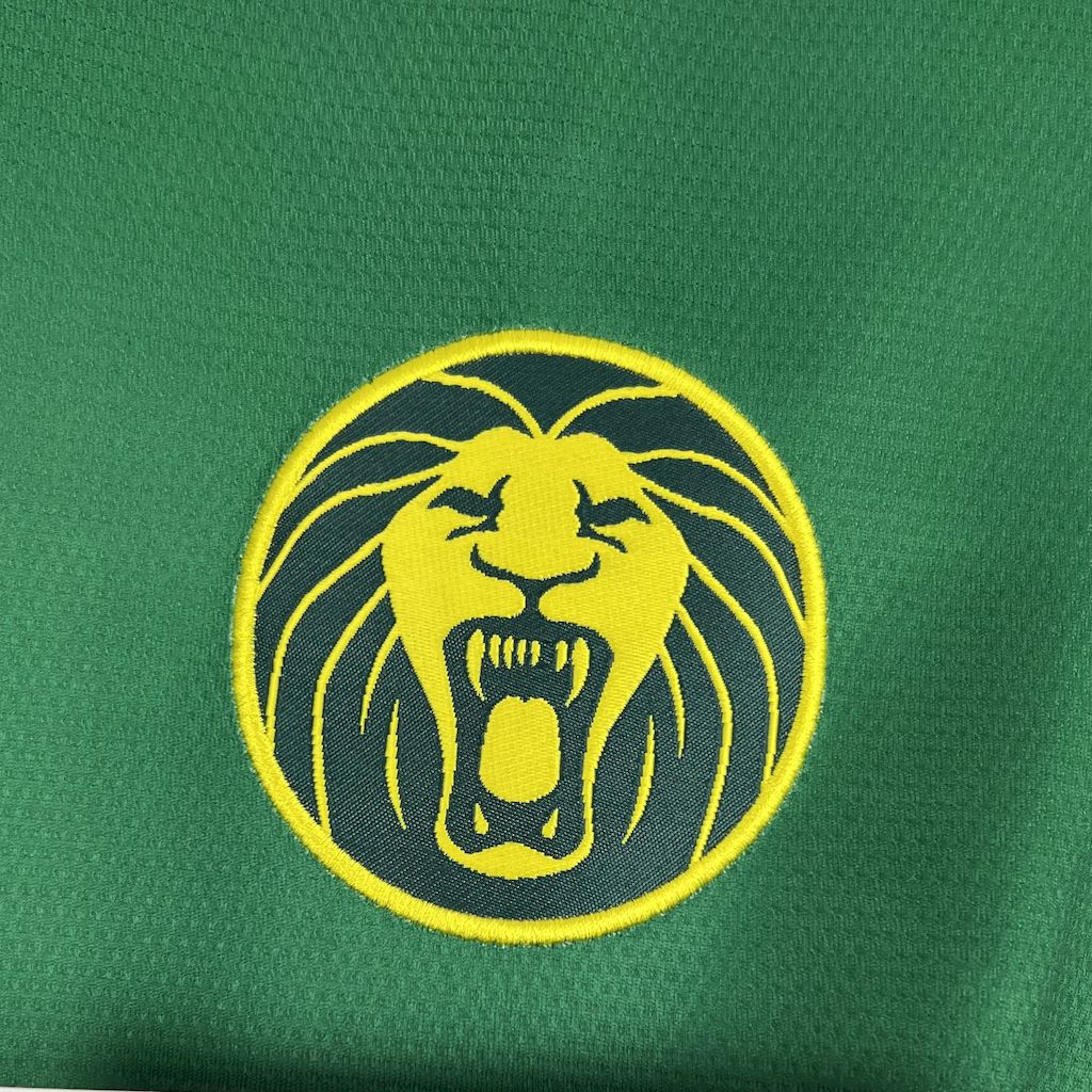 Maillot Cameroun domicile 2025