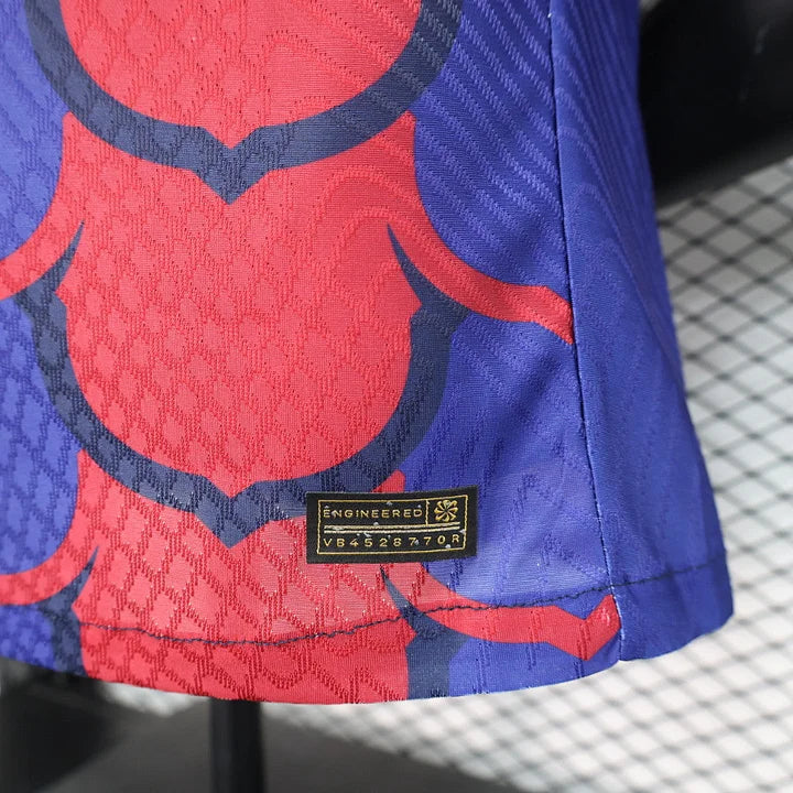 Maillot foot FC Barcelone 2024 2025 Pre-Match