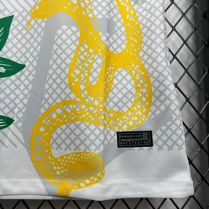 Maillot Inter Milan foot 2024 2025 concept