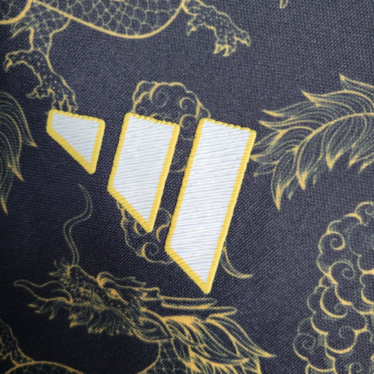 Maillot Japon concept 2023 2024 Dragon